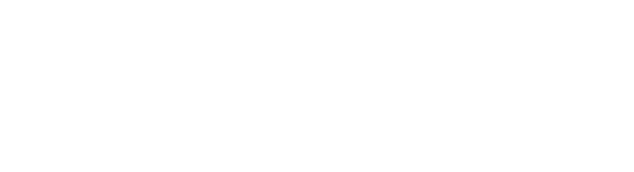 DigitaleLeute Weiss