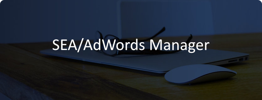 w sea adwords manager