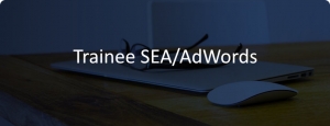 w trainee sea adwords