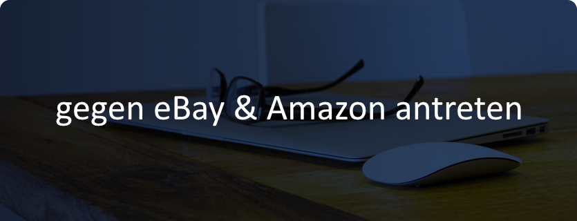 6 Möglichkeiten mit einem kleinen Budget gegen eBay & Amazon anzutreten