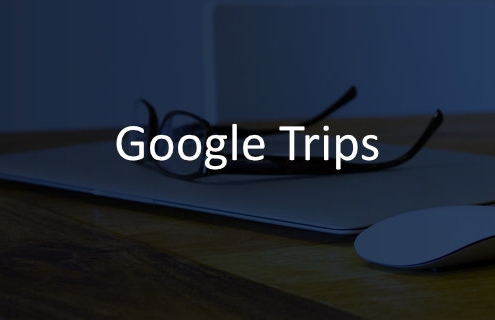w Google Trips