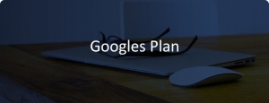 w Googles Plan